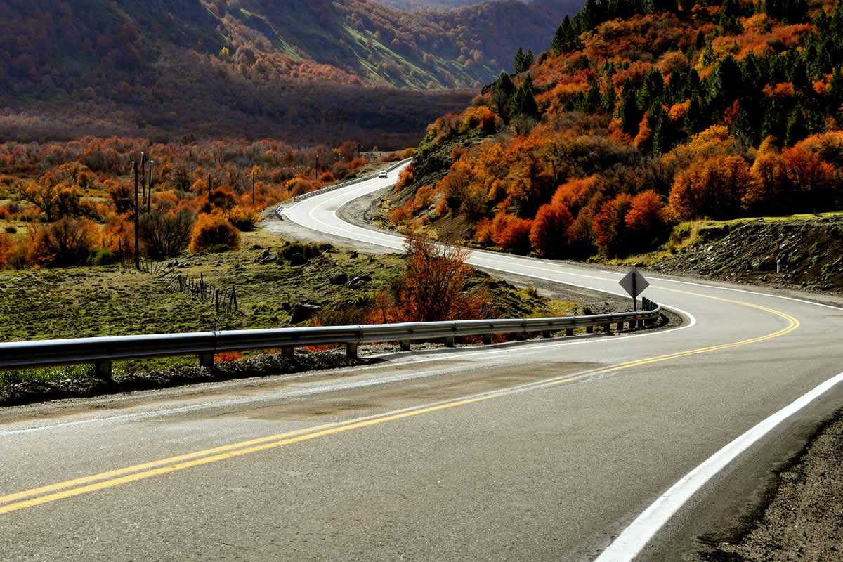 Ruta 40, otoño, neuquen
